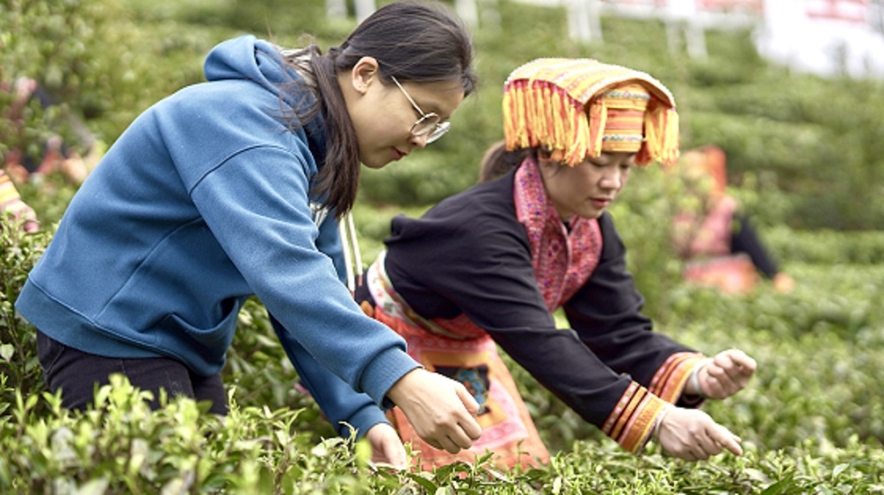 202310151031232916.jpg 202310151031232916.jpg